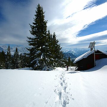 Artwork thumbnail, Snowshoeing by expatraveler