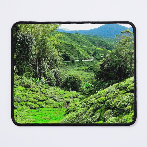 Item preview, Malaysia - Cameron Highlands, tea plantation designed and sold by franck380.