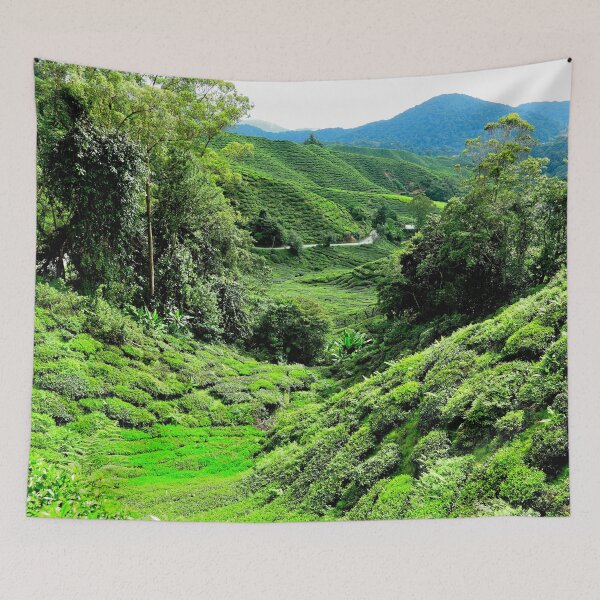 Item preview, Malaysia - Cameron Highlands, tea plantation designed and sold by franck380.