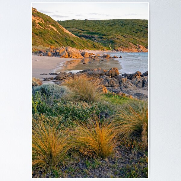 Item preview, West Beach Evening designed and sold by Harry Oldmeadow.