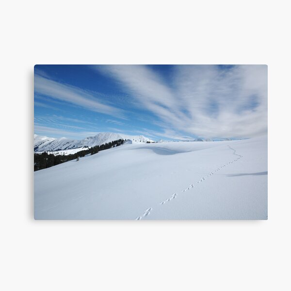 Footprints in the Snow Canvas Print