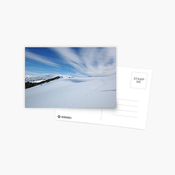 Footprints in the Snow Postcard
