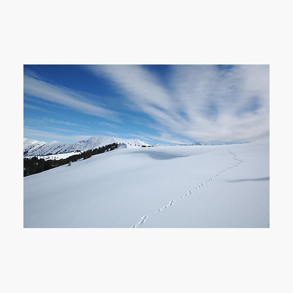 Footprints in the Snow Photographic Print