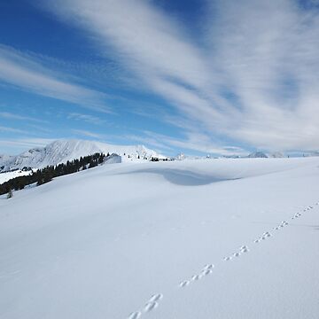 Artwork thumbnail, Footprints in the Snow by expatraveler