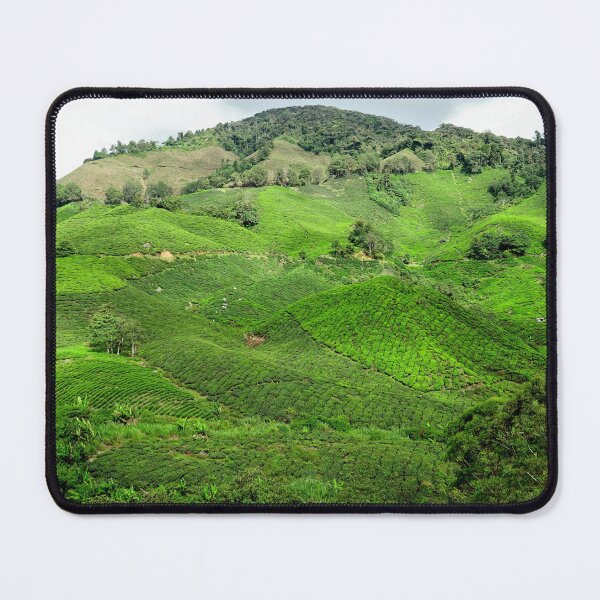 Item preview, Malaysia - Cameron Highlands, tea plantation designed and sold by franck380.