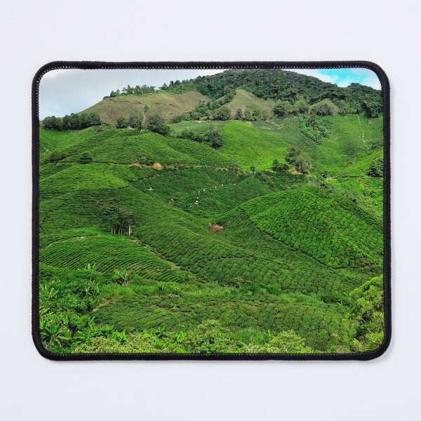 Item preview, Malaysia - Cameron Highlands, tea plantation designed and sold by franck380.