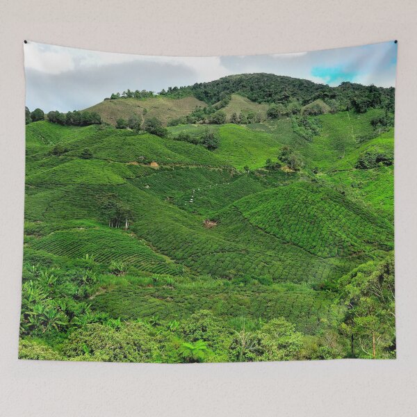 Item preview, Malaysia - Cameron Highlands, tea plantation designed and sold by franck380.