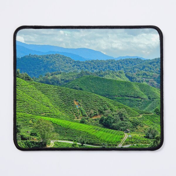 Item preview, Malaysia - Cameron Highlands, tea plantation designed and sold by franck380.