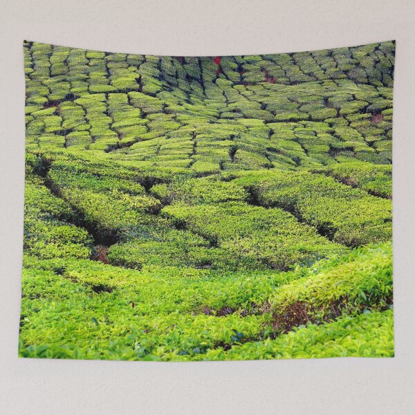 Item preview, Malaysia - Cameron Highlands, tea plantation designed and sold by franck380.