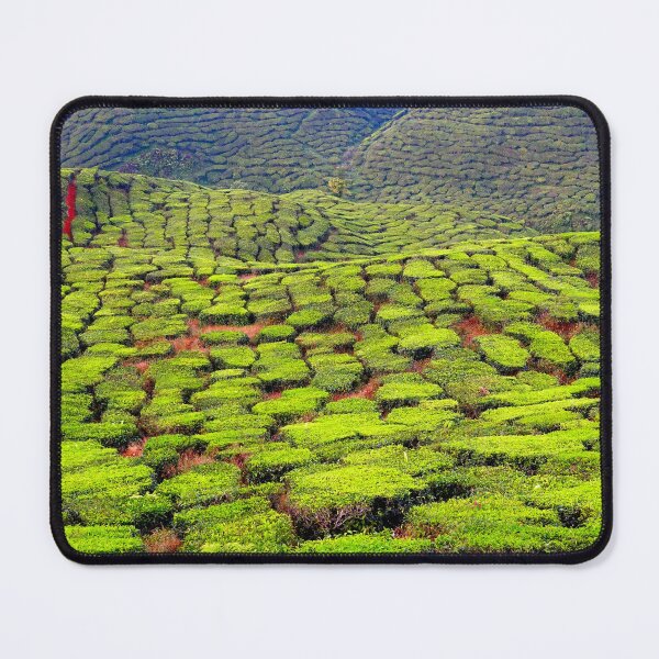 Item preview, In the Heart of the Cameron Highlands Tea Plantations designed and sold by franck380.
