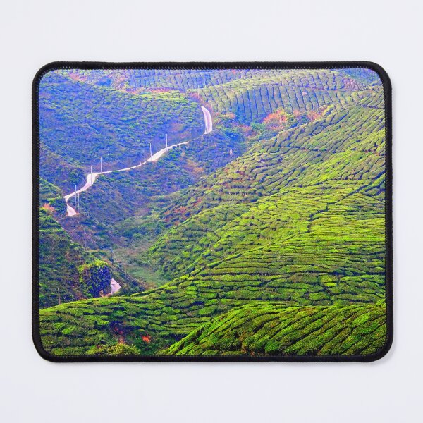 Item preview, Malaysia - Cameron Highlands, tea plantation designed and sold by franck380.