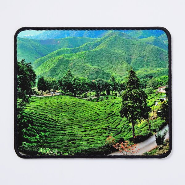 Item preview, Malaysia - Cameron Highlands, tea plantation designed and sold by franck380.