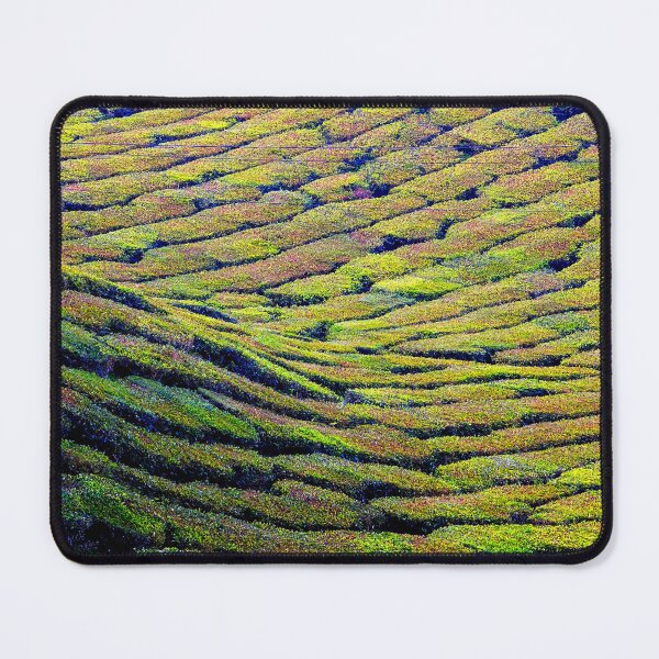 Item preview, Malaysia - Cameron Highlands, tea plantation designed and sold by franck380.