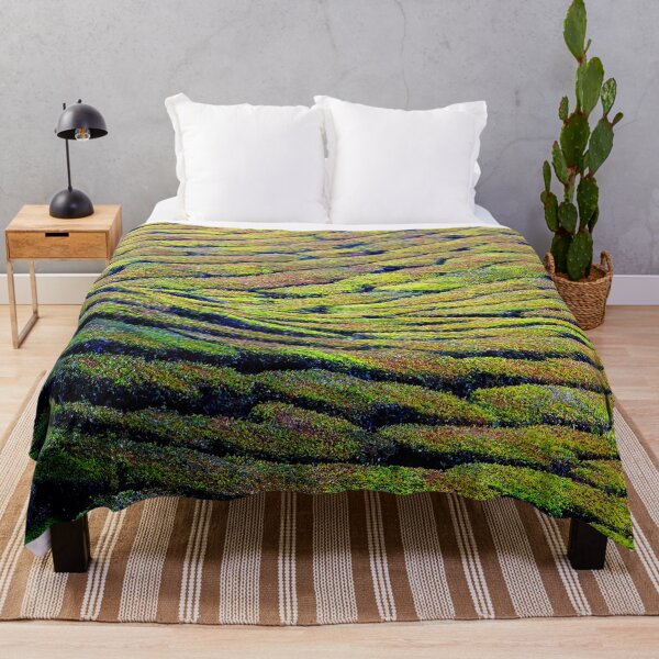 Item preview, Malaysia - Cameron Highlands, tea plantation designed and sold by franck380.