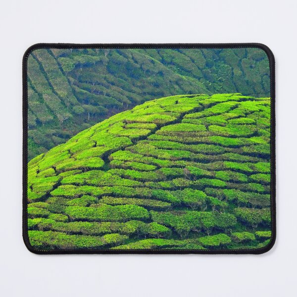Item preview, Malaisie - Cameron Highlands, plantation de thé designed and sold by franck380.