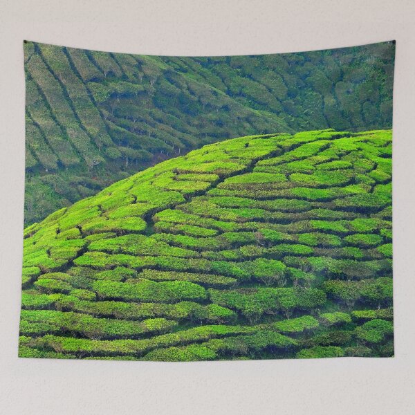 Item preview, Malaisie - Cameron Highlands, plantation de thé designed and sold by franck380.