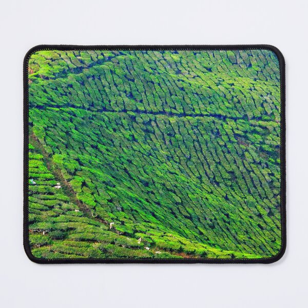 Item preview, Malaysia - Cameron Highlands, tea plantation designed and sold by franck380.