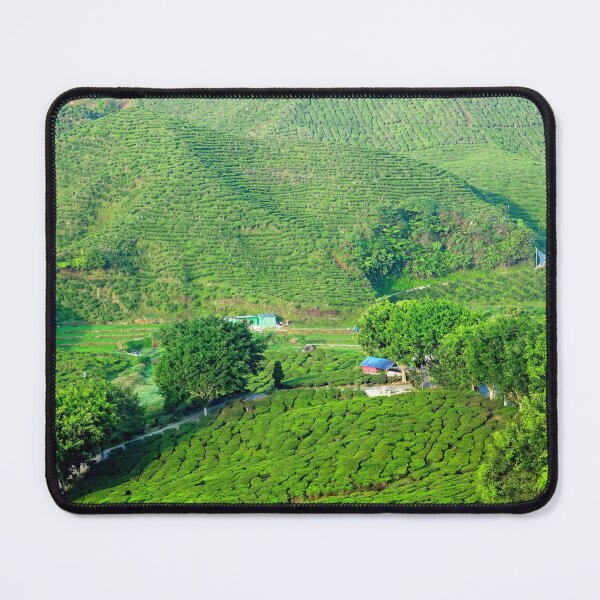 Item preview, Malaysia - Cameron Highlands, tea plantation designed and sold by franck380.