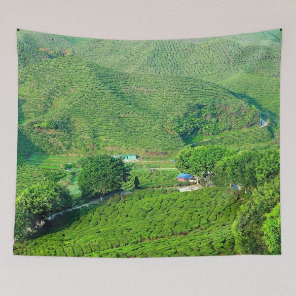 Item preview, Malaysia - Cameron Highlands, tea plantation designed and sold by franck380.