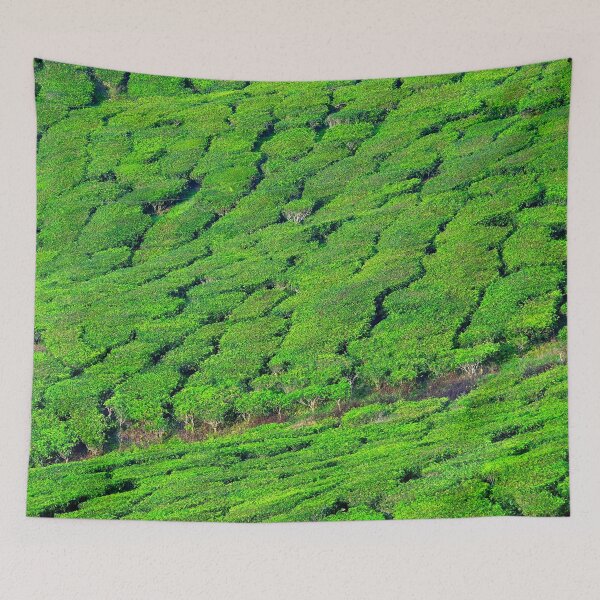 Item preview, Malaysia - Cameron Highlands, tea plantation designed and sold by franck380.