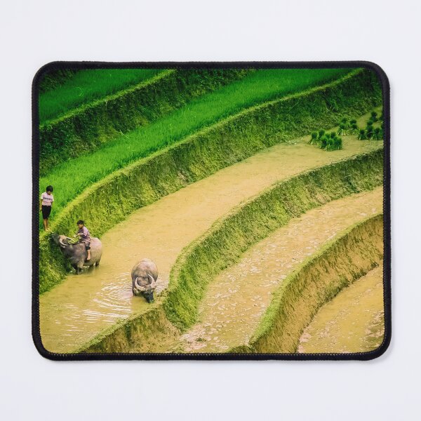 Item preview, In the fields designed and sold by PhotographicAl.