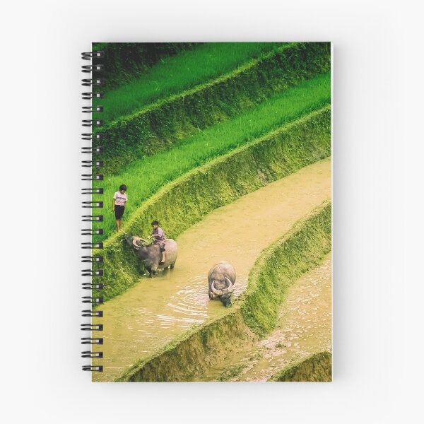 Item preview, In the fields designed and sold by PhotographicAl.