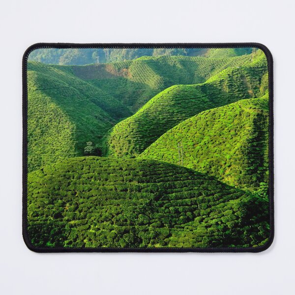 Item preview, Malaysia - Cameron Highlands, tea plantation designed and sold by franck380.