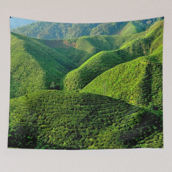 Item preview, Malaysia - Cameron Highlands, tea plantation designed and sold by franck380.