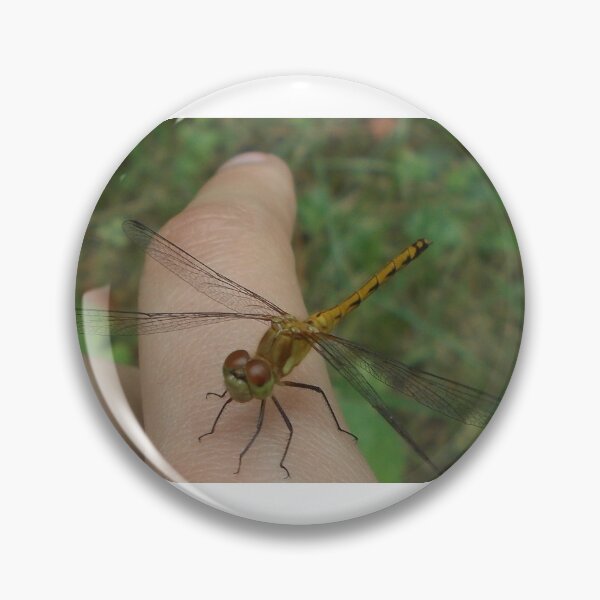 Item preview, Close up Dragon fly on Finger - Original Photography designed and sold by JulienneJc.