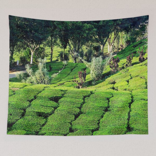 Item preview, Malaysia - Cameron Highlands, tea plantation designed and sold by franck380.