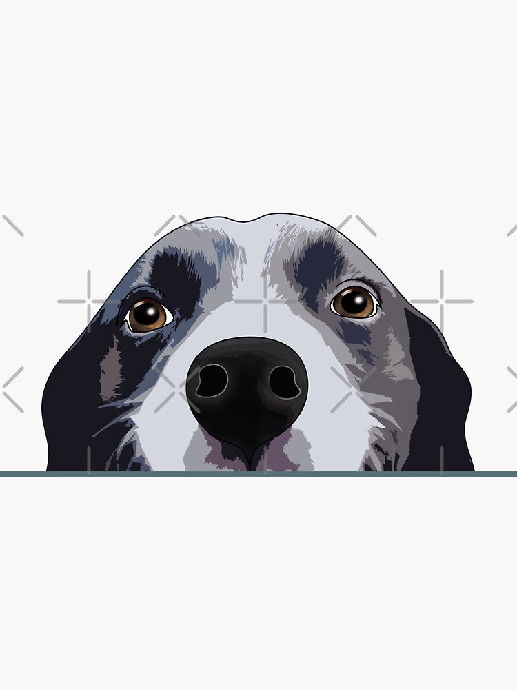 Thumbnail 3 of 3, Sticker, Border Collie Peeking, Border Collie Shirt, Border Collie Gift, Border Collie Lover designed and sold by DogLifeCo.