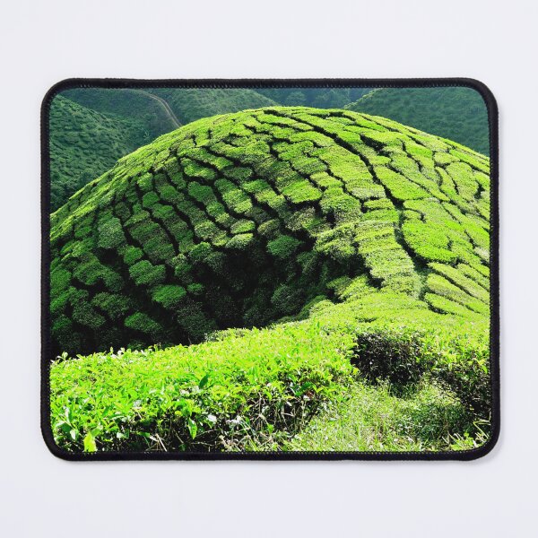Item preview, Malaysia - Cameron Highlands, tea plantation designed and sold by franck380.