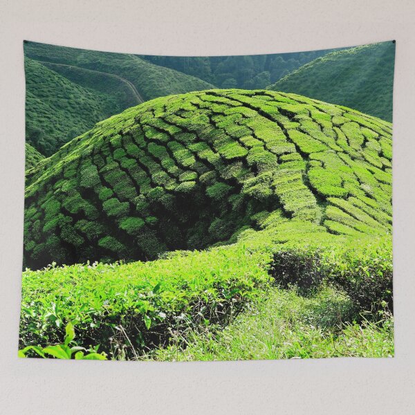 Item preview, Malaysia - Cameron Highlands, tea plantation designed and sold by franck380.