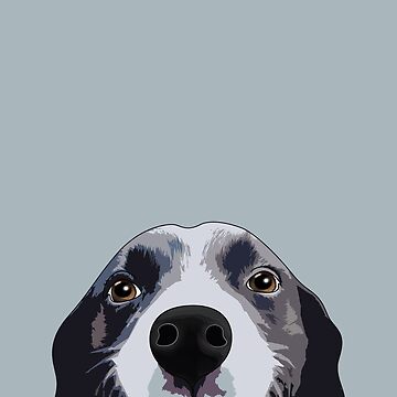 Artwork thumbnail, Border Collie Peeking, Border Collie Shirt, Border Collie Gift, Border Collie Lover by DogLifeCo