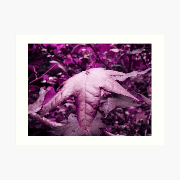Violet Illusion Art Print