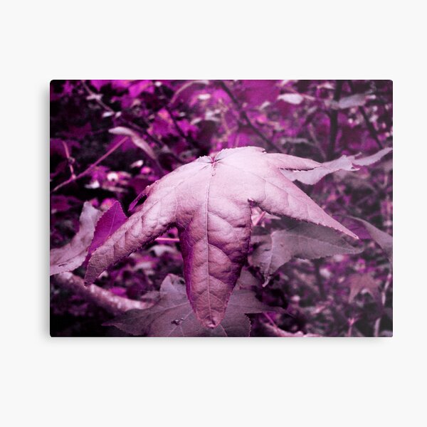 Violet Illusion Metal Print