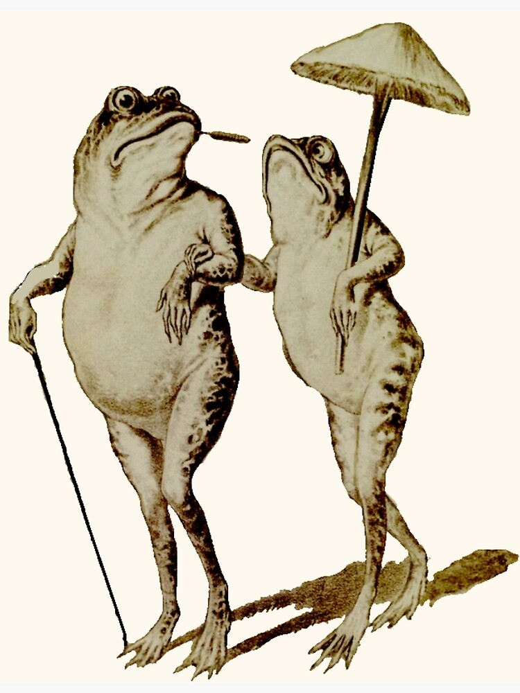 Frog and Toad Fishing Poster for Sale by jakealy