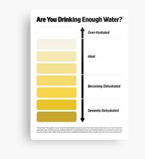 Urine Color Chart, Pee Color Chart Metal Print