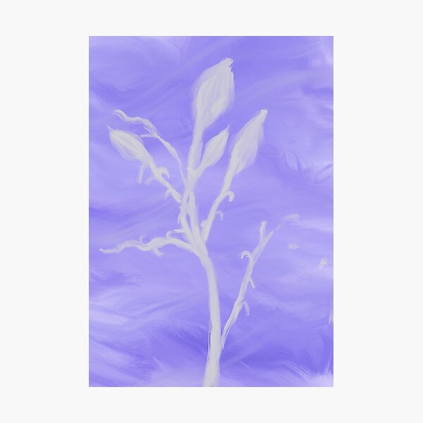 white flowers in a purple haze Photographic Print