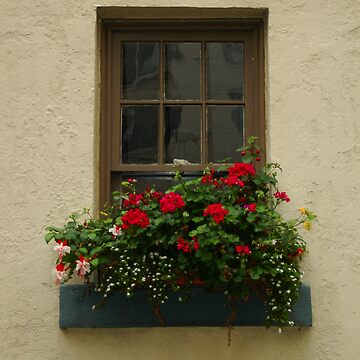 Artwork thumbnail, The Window by expatraveler