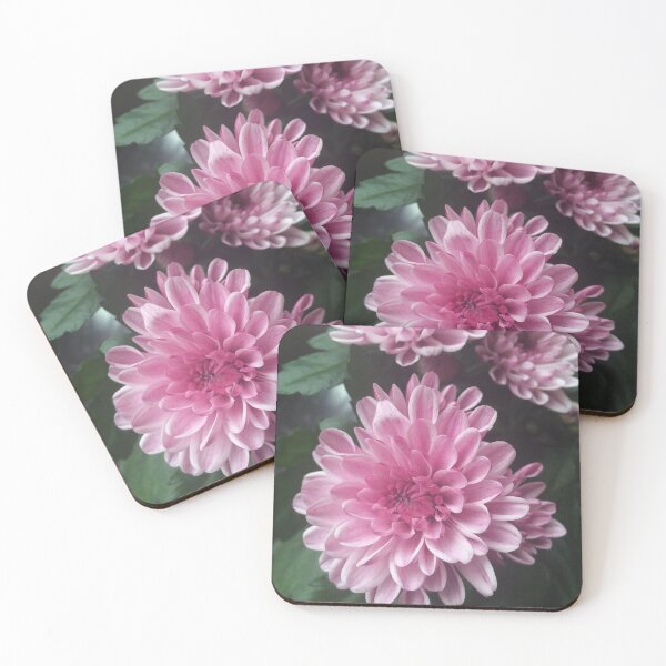 Item preview, pink chrysanthemums  designed and sold by SnappedbyRivka.