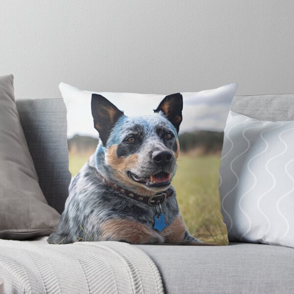 Artikelvorschau, Australian Blue Heeler Cattle Dog entworfen und verkauft von LividPhoto.