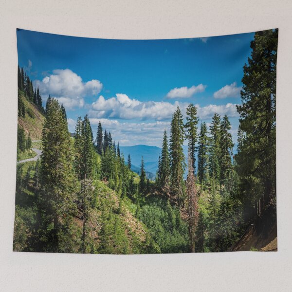 Aperçu de l'œuvre Vista in Lassen Volcanic National Park créée et vendue par Craig Kauzmann.