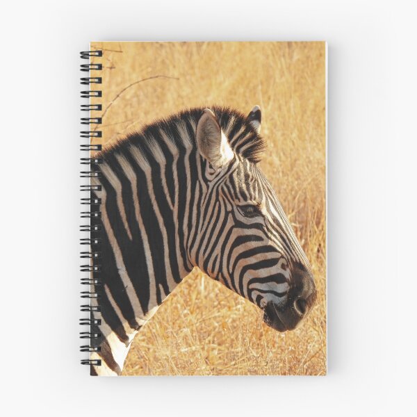 Item preview, Zebra at Kruger National Park designed and sold by AussieAl.