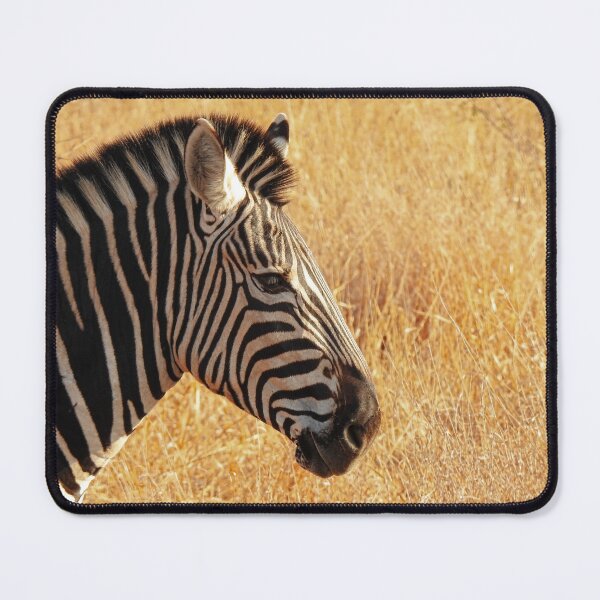 Item preview, Zebra at Kruger National Park designed and sold by AussieAl.