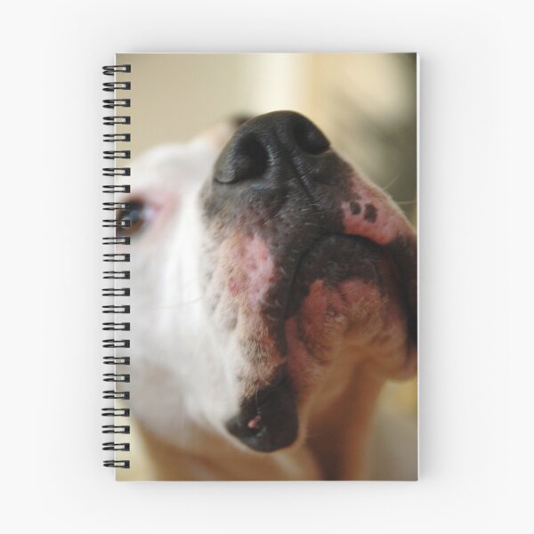 Item preview, Know it all Nose designed and sold by Angie Seiffert.