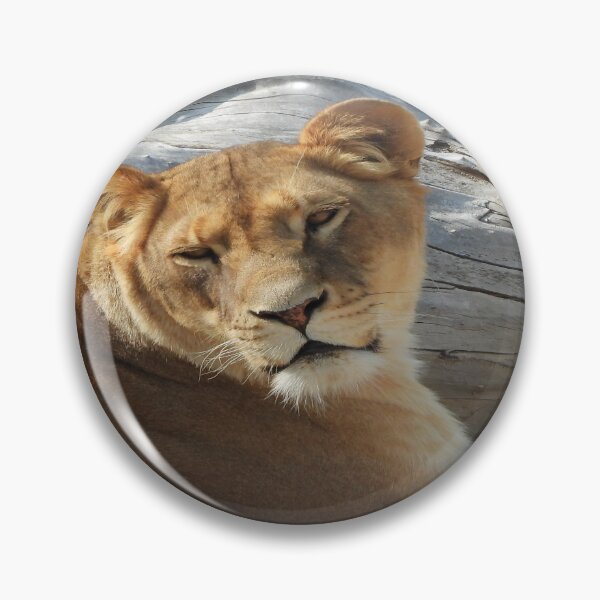 Item preview, Lioness designed and sold by Craig Kauzmann.