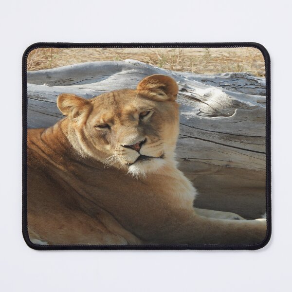 Item preview, Lioness designed and sold by Craig Kauzmann.