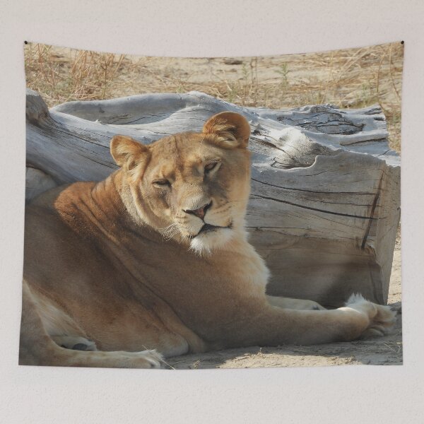 Item preview, Lioness designed and sold by Craig Kauzmann.
