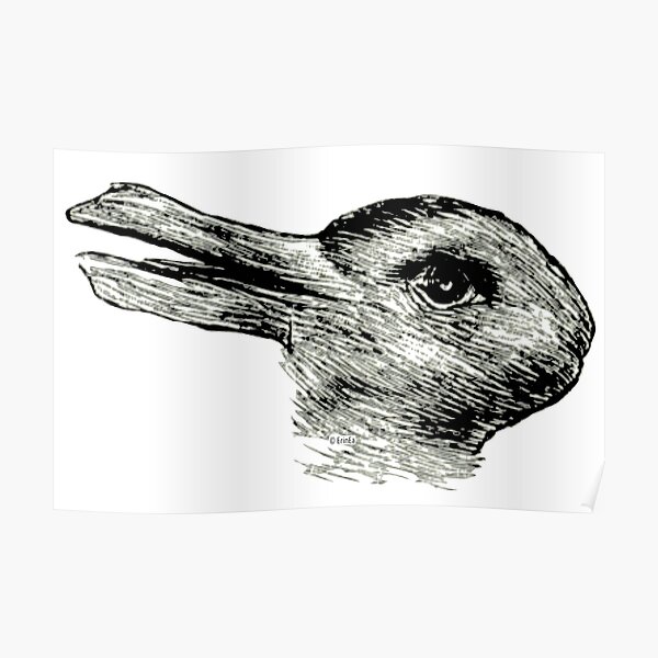 A Duck or a Rabbit ? Poster